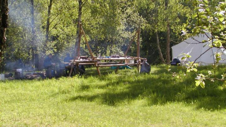 Vild natur - tæt på