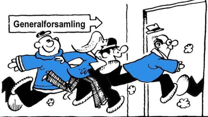 Grupperådsmøde (Generalforsamling)