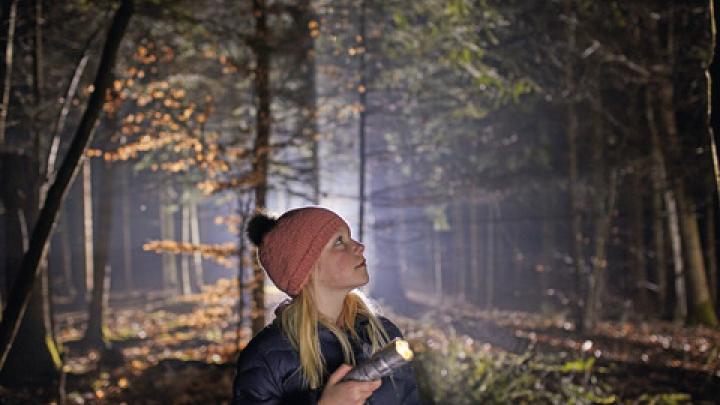 Pige med lommelygte lyse i skov